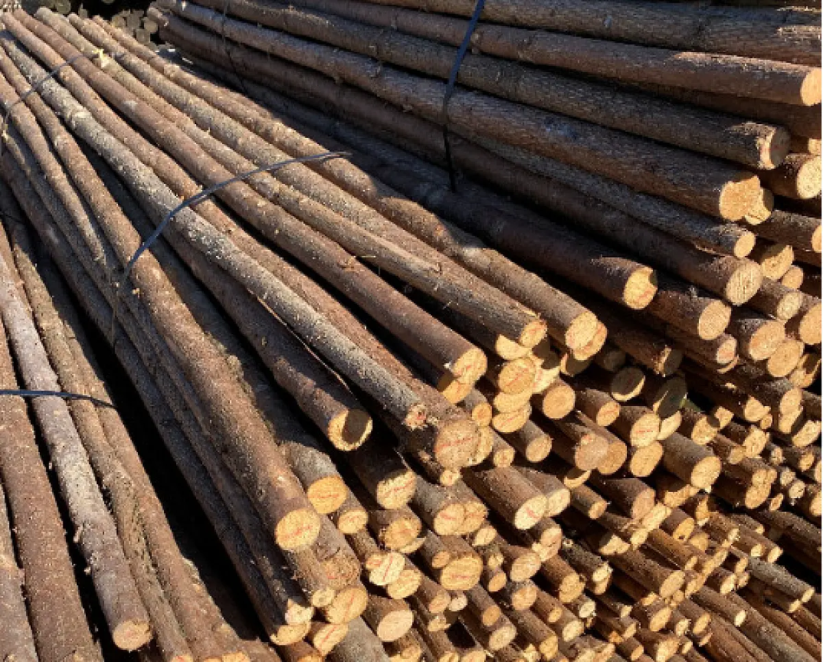 Rafter med bark, 2nd sort.- Ø4-8 x 220 cm DBA (ej returbare) - 100 stk