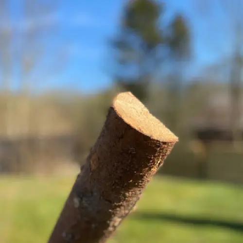 Flækket rafter med bark, kl A - Ø4-7 x 220 cm