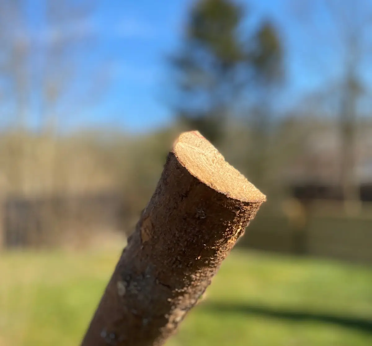 Flækket rafter med bark, kl A - Ø4-7 x 220 cm